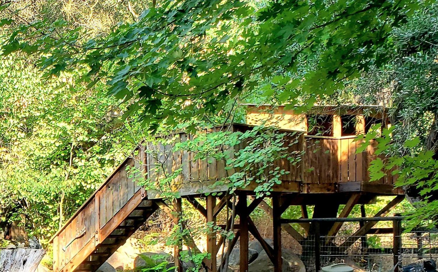 Magical River House ! 10 Min To Snp Park Entrance Three Rivers Eksteriør billede